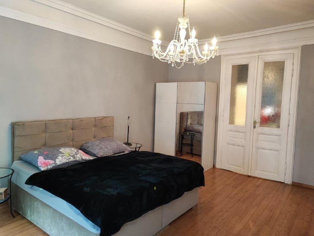 Central Vienna Apartment With Unique 40M2 City Garden & Self Check In 외부 사진